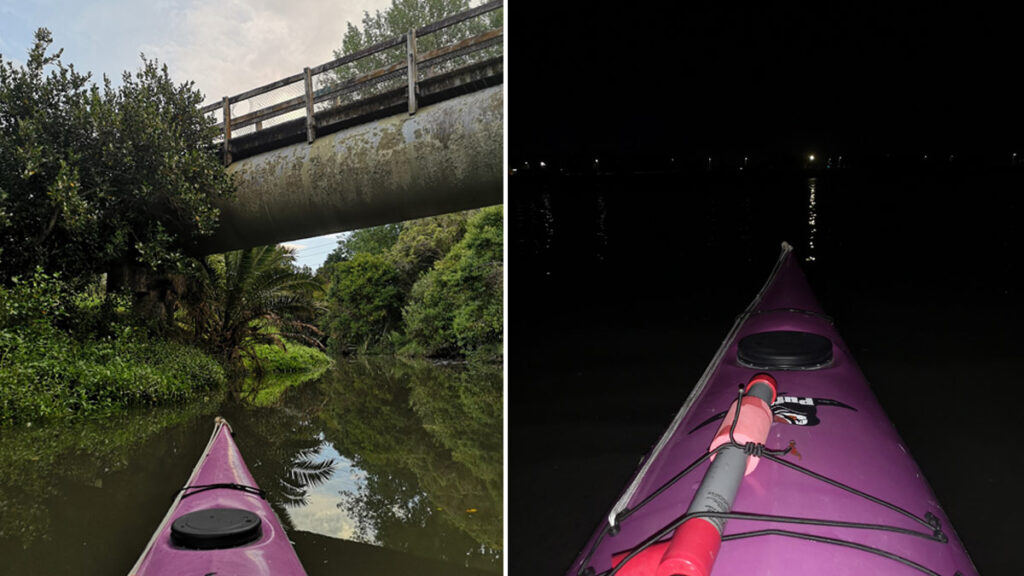 view from kayak